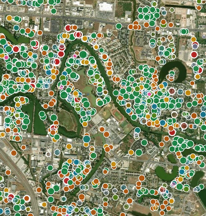 Citywide map of street trees, each dot colored by species